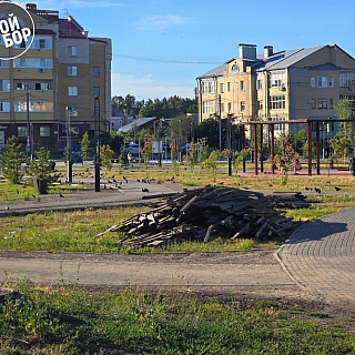 На Мухинском начались работы по демонтажу покрытий 1