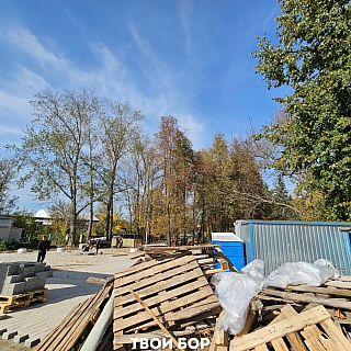 Странное соседство в Борском парке 2