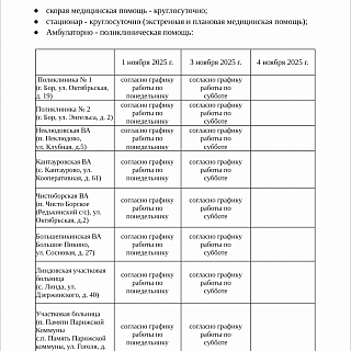 Работа ГБУЗ НО «Борская ЦРБ» с 1 ноября по 5 ноября 2025 года 3