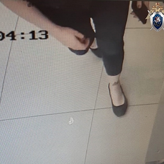 Внимание! Следственный комитет просит откликнуться свидетелей по делу о пропавшей иностранке 4