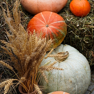 На Бору прошла яркая Ярмарка 9