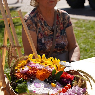 Центр Бора утонул в цветах 3