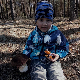 СРОЧНО! Четырехлетний ребенок пропал в лесу на Бору 1