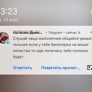 Пост-предостережение от борчанки: 1