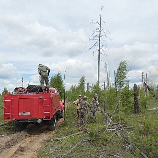 Порой на Бору с нашего молчаливого согласия происходят страшные вещи 2