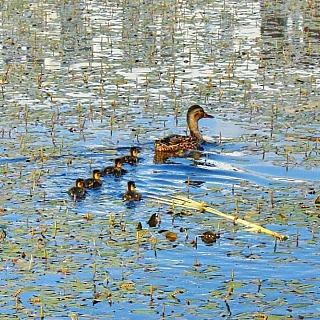Итоги 2019 года: номинация "Чудо природы" 9