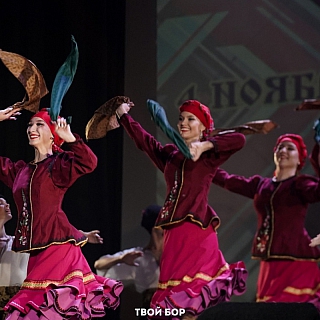 Бор, с Днём народного единства! 8