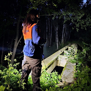 Двое мужчин потерялись в борском лесу 8