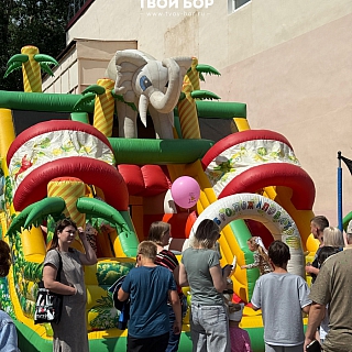 На Бору, по главной улице города, прошёл праздничный парад колясок 10