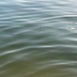 Пост благодарности 2