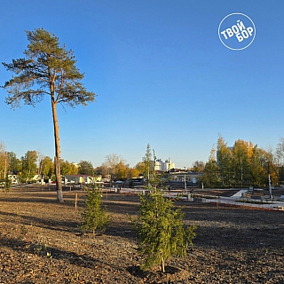 Благоустройство Аллеи ветеранов на Стекольном продолжается 3