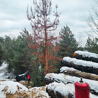 Борская администрация отчитала генерального подрядчика на Моховых 4