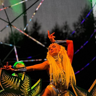 Про фестиваль электронной музыки «Ананда» 5