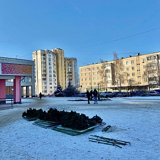 На Бору устанавливают главную городскую ёлку 1