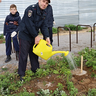 Экоактивисты и борские полицейские организовали массовые посадки 1
