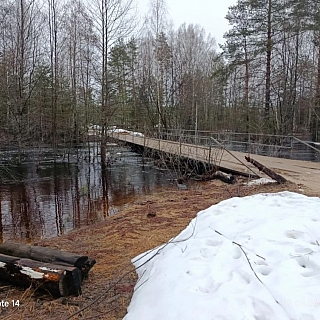 В Керженском заповеднике затопило избушку Бабы Яги 3