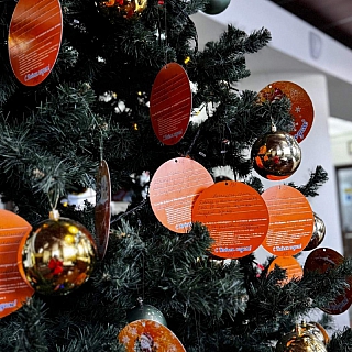 На Бору стартовала ежегодная благотворительная акция «Мандарин» 3