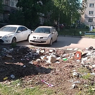 Три красноречивых фото с борской помойки 2