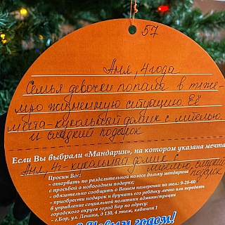 На Бору стартовала ежегодная благотворительная акция «Мандарин» 1