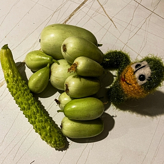 И всё-таки в глобальном потеплении есть свои преимущества 5