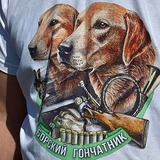 Сегодня на Бору прошла выставка охотничьих собак 3