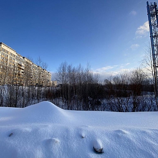 Новый инвестиционный проект под окнами борчан 5