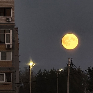 Затмение кровавой луны наблюдали на Бору 1