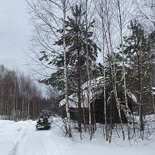 В Керженском заповеднике подведены итоги зимнего маршрутного учета зверей 6