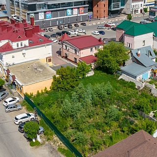 Лес вместо парковки растёт в самом центре Бора 3