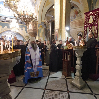 Борские паломники вместе с главой города на Святой земле 2