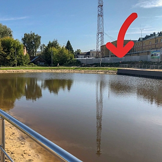 В Мухинском озере запретили купание 1