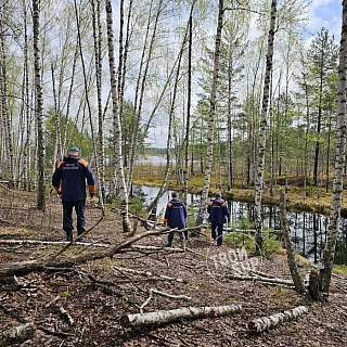 Женя Харламов найден! Жив! 13