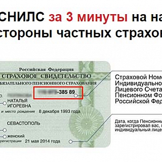 Берегите личные данные: ПФР предупредил о новом виде мошенничества с пенсиями 2