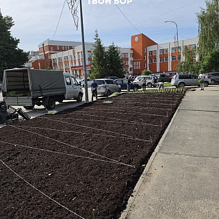 Первое утро лета на Бору выглядит так: 2