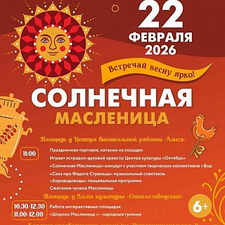 Масленица на Бору! 9