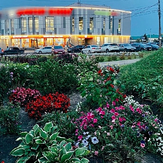 Завянет ли Бор летом? 3