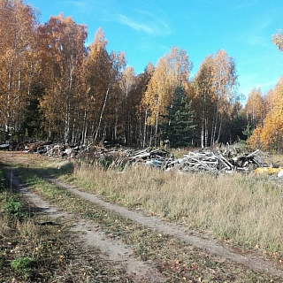 Сотни кубометров "нелегального" мусора вывезут с территории Борского округа 3