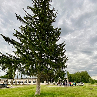 Большепикинское благоустройство. Чего хотят и что мешает. 6