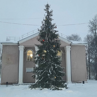 На Бору начали устанавливать новогодние елки 3