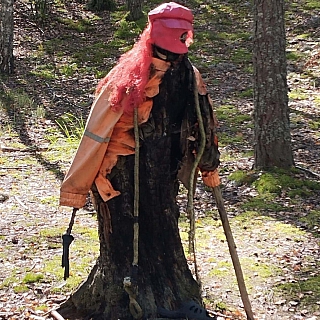 Осторожно, в лесу... 2