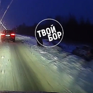 День жестянщика на Бору 1