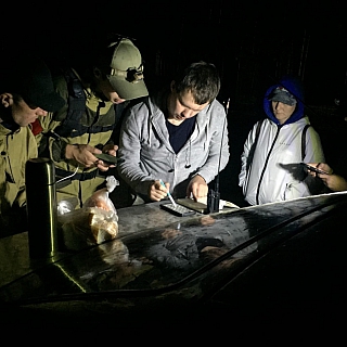 На Бору найден живым заблудившийся грибник 3