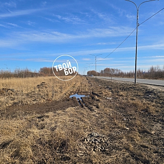 К майским ждём велодорожку? 1