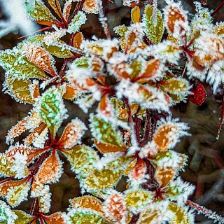 Между осенью и зимой 3