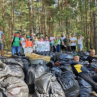 Кто же догадался сделать это в борском лесу? 5