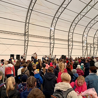 День ходьбы состоялся на Бору 5 октября 3