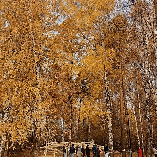 На Моховых предсказуемо сорваны сроки благоустройства 6