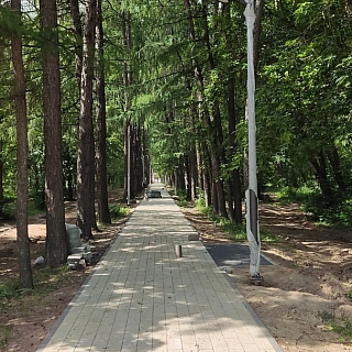 Как продвигается благоустройство в борском парке 3