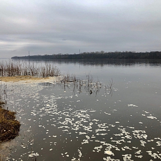 Волга в районе Бора заплыла соляркой? 3