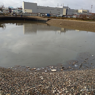 Мухинское озеро: гордость или стыд? 4